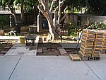 IMG_8612.JPG