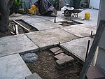IMG_8666.JPG