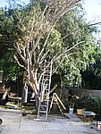 IMG_8682.JPG
