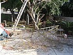 IMG_8684.JPG