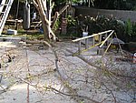 IMG_8685.JPG