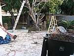 IMG_8686.JPG