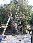 IMG_8687.JPG