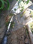 IMG_8689.JPG