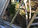 IMG_8690.JPG