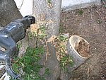 IMG_8691.JPG