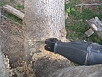 IMG_8692.JPG