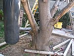 IMG_8694.JPG