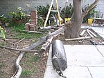 IMG_8695.JPG