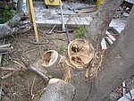 IMG_8697.JPG