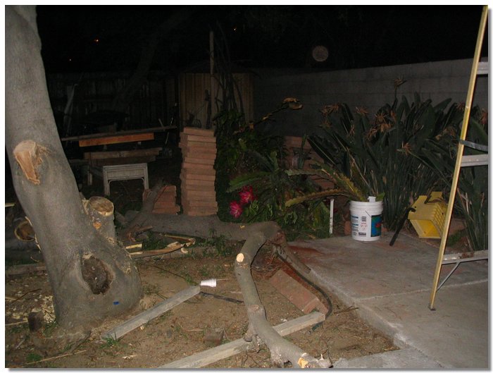 IMG_8778.JPG