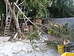 IMG_8733.JPG