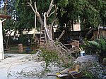 IMG_8734.JPG