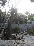 IMG_8735.JPG