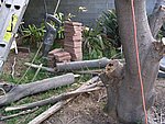 IMG_8736.JPG