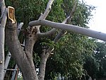 IMG_8737.JPG