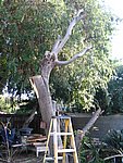 IMG_8738.JPG