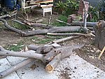 IMG_8739.JPG