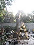 IMG_8740.JPG