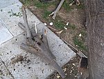IMG_8743.JPG