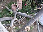 IMG_8744.JPG