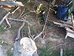 IMG_8745.JPG