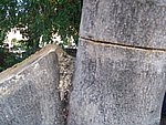 IMG_8746.JPG
