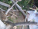 IMG_8747.JPG