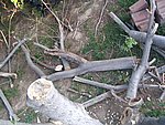 IMG_8748.JPG
