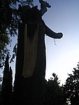 IMG_8749.JPG