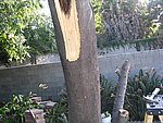 IMG_8750.JPG