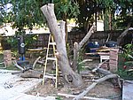 IMG_8756.JPG