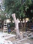 IMG_8758.JPG