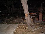 IMG_8777.JPG