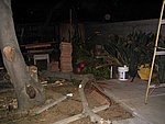 IMG_8778.JPG