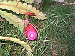 IMG_8752.JPG