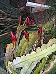 IMG_8754.JPG