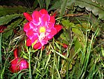 IMG_8760.JPG