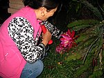 IMG_8763.JPG