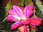 IMG_8770.JPG