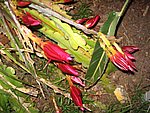 IMG_8771.JPG