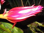IMG_8774.JPG