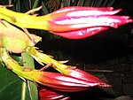 IMG_8775.JPG