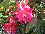 IMG_8780.JPG