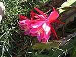 IMG_8781.JPG