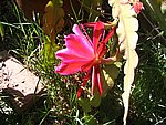 IMG_8783.JPG