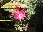 IMG_8784.JPG