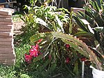IMG_8786.JPG