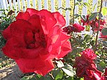 IMG_8800.JPG