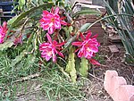 IMG_8815.JPG